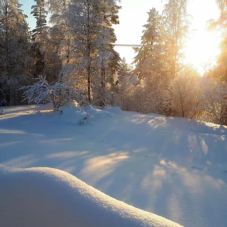 فيلة House At The Arctic Circle- Next To Santa Claus