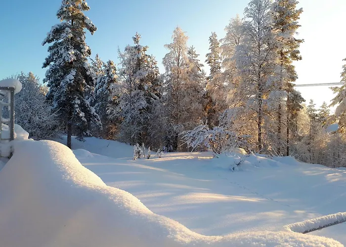 Villa House At The Arctic Circle- Next To Santa Claus Rovaniemi