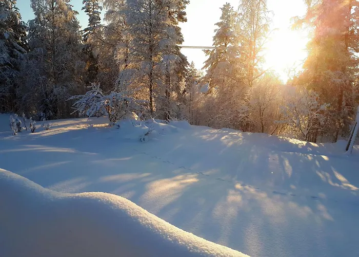 Villa House At The Arctic Circle- Next To Santa Claus